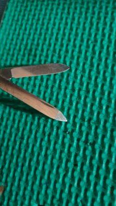Victorinox