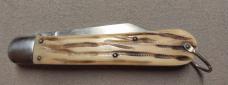 Presto Hunter with Winterbottom Bone Handles 