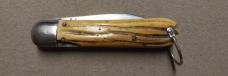 Presto Cub Size Hunter with Winterbottom Bone Handles 