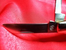 First Production Run Seki Japan Made Stag 4 Blade Congress Knife for Coleman. Excellent Used Cond..