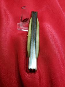 First Production Run Seki Japan Made Stag 4 Blade Congress Knife for Coleman. Excellent Used Cond..