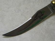 Case XX USA Stag 523 3 1/4 Pheasant Fixed Blade Knife w/Sheath