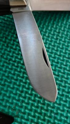 Remington