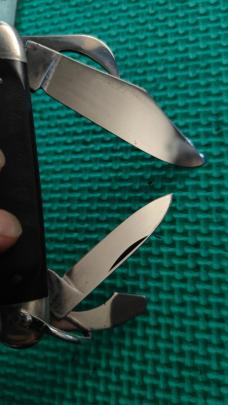 Craftsman