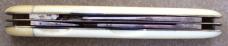 B.B. WELLS STRAND & CITY 4 1/8" Pocket Knife London (Sheffield) ivory handles