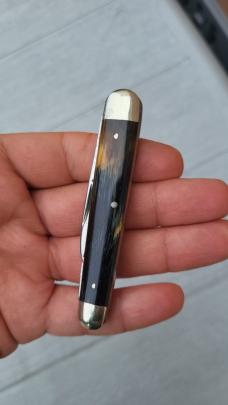 3 1/4" I*XL Wostenholm 2-Blade Pen Knife, Made in Sheffield , Nice Buffalo Horn