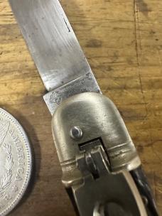Weidmannshield  11cm