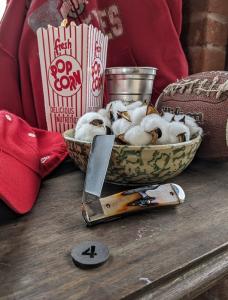 TITUSVILLE CUTLERY - Big Easy Cotton Knife - Genuine India Amber Stag Handles -4