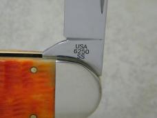 Case XX USA 2009 Orange Bone 6250 Elephant Toe Knife
