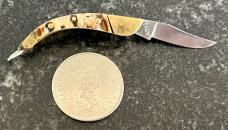 Rare Miniature Keychain Folding Catalana Knife, Great Ram Horn, Italy