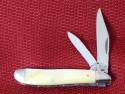  1980 CASE XX USA PEANUT WITH CUSTOM FILE WORK AND GOLD PEARL HANDLES  (M.O. OR CHECK )
