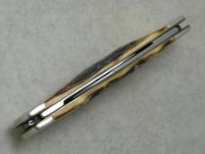 Case MM USA 2000 Stag 5270 SS Millennium Sleeveboard Sunfish Knife