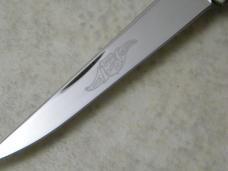 Queen City Titusville PA #27 Classics Red Stag Muskrat Knife NIB