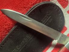 Case 1981 smooth red bone doctor knife