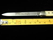 Great Eastern Cutlery GEC Smooth GID Lemon Brite Acrylic Fruit Knife 892121 Stainless Blade 1 of 426
