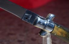 15 Inch Transitional Switchblade