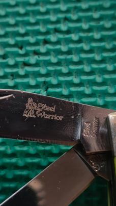 Steel Warrior
