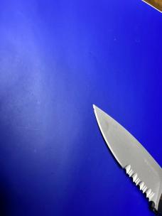 Pro-Tech TR-2.2 Automatic Knife