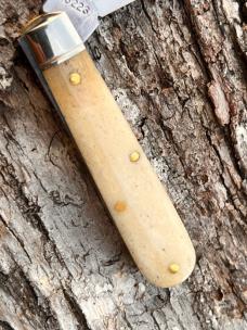 GEC NORTHFIELD * 143223 EXOTIC INDIA SMOOTH OILED BONE BARLOW SFA 1of 33