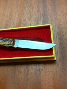 CASE XX STAG SOD BUSTER JR STAG HANDLES UNUSED 1976 KENTUCKY BICENTENNIAL  This is a CASE XX JR SOD 
