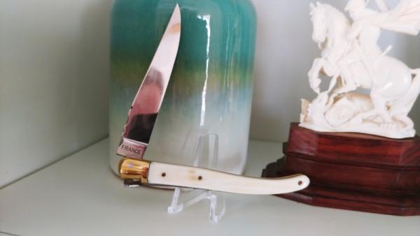 Boars tusk