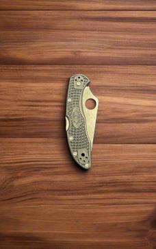 SPYDERCO DELICA 4 