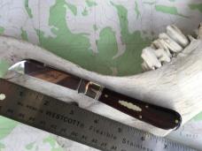 Great Eastern Northfield 933119 Cocobolo Wood Ram Foot single blade knife