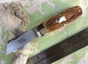 Great Eastern Cutlery Tidioute 363122 ToeNail Clipper Exotic India Jigged Bone NEW