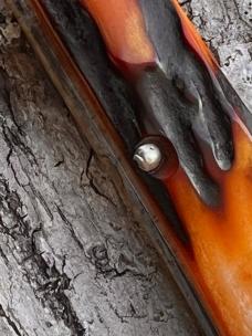 TUNA VALLEY AMBER STAG ROOSTER COMB "FARMER'S JACK" KNIFE 1 OF 70
