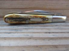 Schatt & Morgan Stag Tiny Barlow