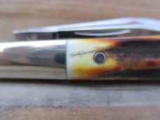 Schatt & Morgan Stag Tiny Barlow