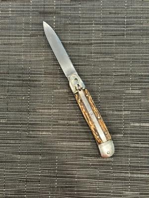 Anton Wingen Jr Springer