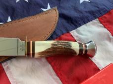 J A Henckels Fixed Blade Hunter Knife w/ Stag Handles & Gold Blade Etch of a Howling Wolf