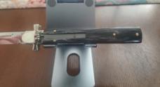AGA Campolin Dominus Dark Brazilian Horn 9