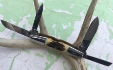 Schatt & Morgan 034431 Gargantuan Stag Full Congress 2016 Queen Daniels Family Cutlery NEW in Box