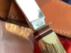 J A Henckels Fixed Blade Hunter Knife w/ Stag Handles & Gold Blade Etch of A Black Bear
