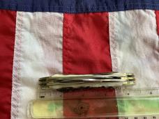 Hen & Rooster -Bertram Cutlery Large Coon Hunter Congress w/ Sweet Stag Handles