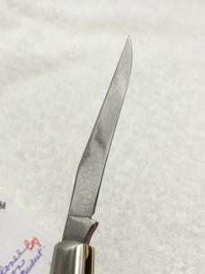 Colonel Coon 2 Blade Stag Muskrat 1 of 200 New In Box Made In USA