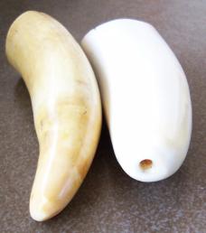 2 scrimshawed ivory Whale Teeth for custom Knife Handle projects