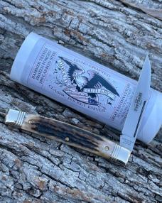 GEC TIDIOUTE ** 130117 SAMBAR STAG WHIP