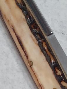 11" Vintage Stiletto Italy Stag. Rare kit knife. 