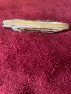 1981 NKCA QUEEN Stag Cigar