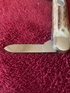 1981 NKCA QUEEN Stag Cigar