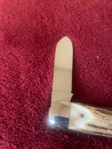 1981 NKCA QUEEN Stag Cigar