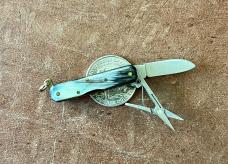 Mini Noxa Folding Knife, Beautiful Horn Scales, Italy