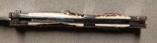 13" Picklock Switchblade with Stag handles.