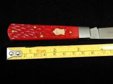 Dollar Knife Co. Red Jigged Bone with Mammoth Shield Jack Knife from Cooper Cutlery USA RJB-MS