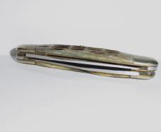 Vintage Frost Cutlery Muskrat Knife Surgical Steel Bone Handles Japan 1970's-1980's