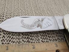 Ka-Bar Imitation Ivory Sleeveboard Whittler Model ETN-91