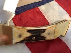 1981 Case xx Hammerhead Shark Folding Hunter w/ Stag Handles (5159 LSSP) +Orig Sheath & Box -NOS
